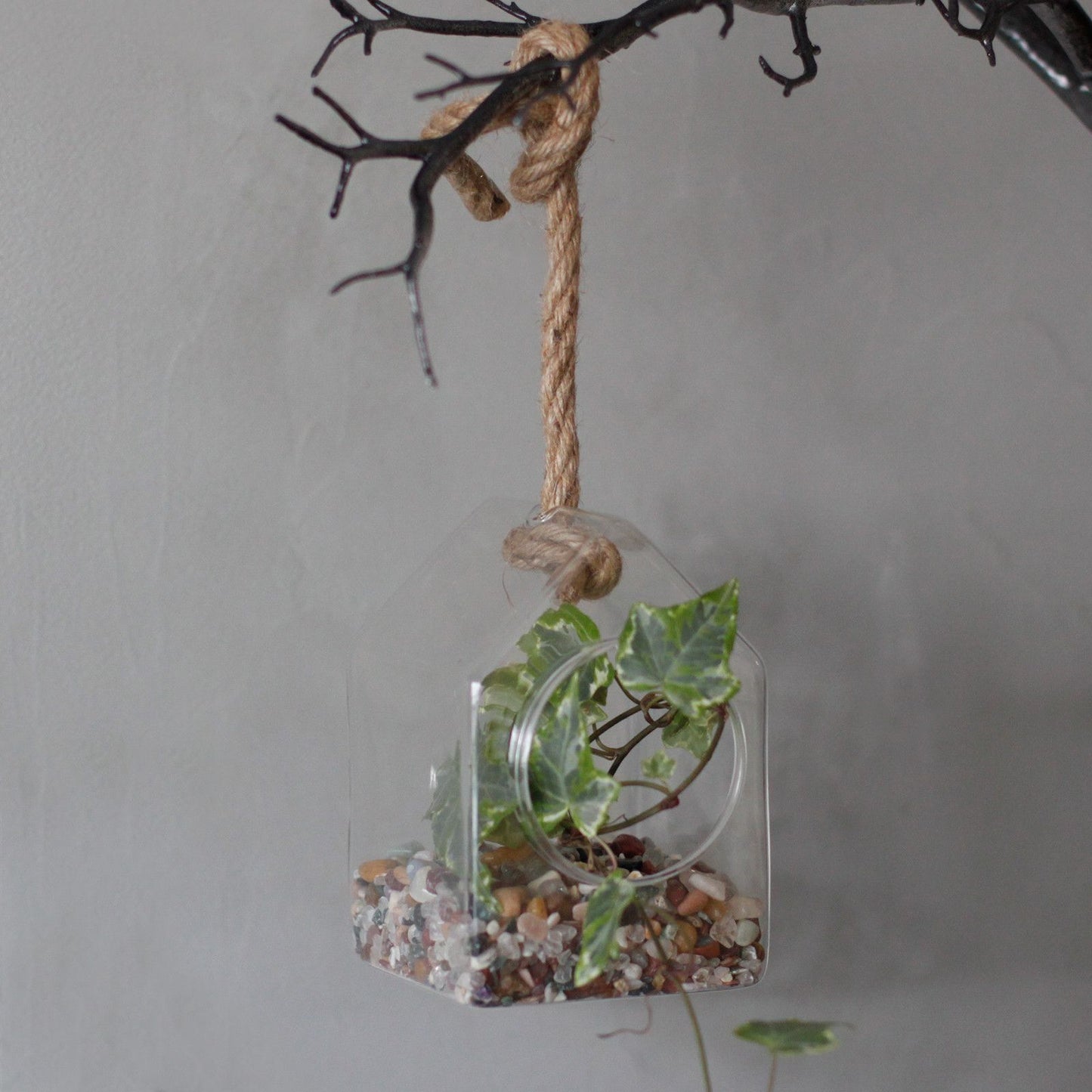 All Glass Terrarium - Hanging House on Rope