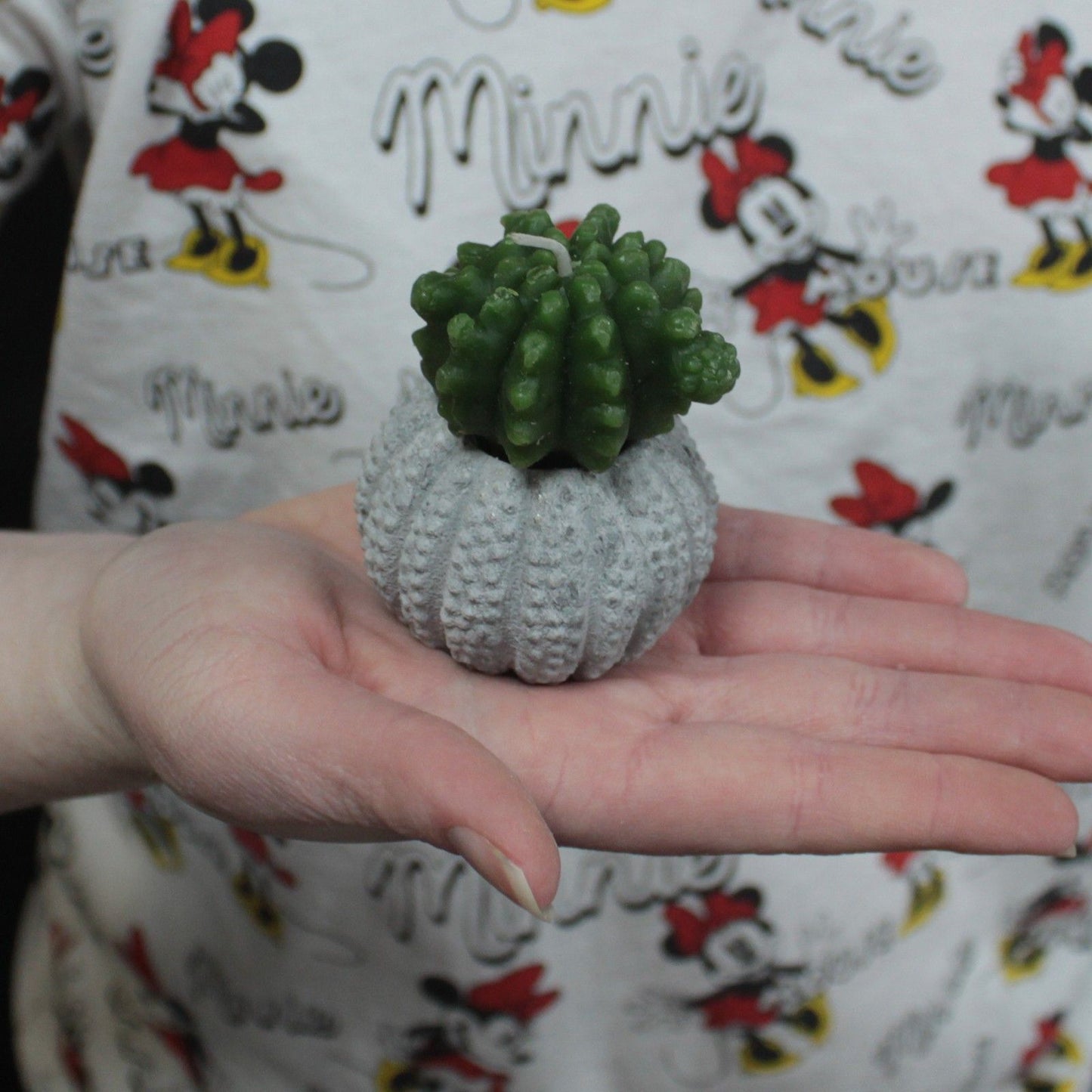Cactus Candles - Cactus Pot (asst) Display