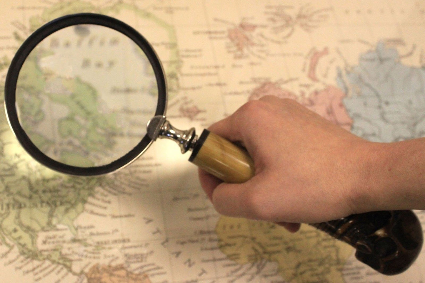 Vintage Magnifying Glasses - Gothic Skull
