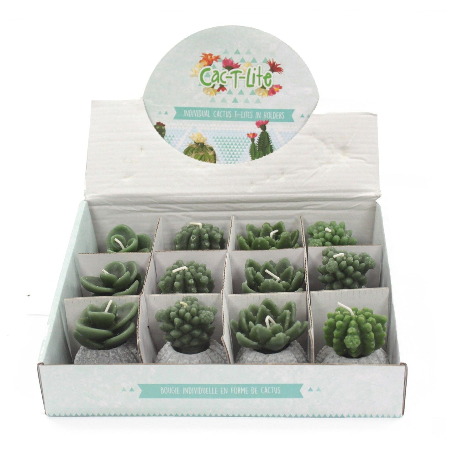 Cactus Candles - Cactus Pot (asst) Display