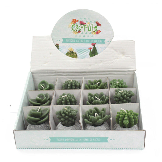 Cactus Candles - Cactus Pot (asst) Display