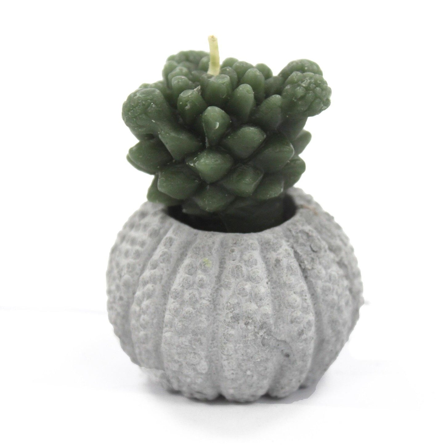 Cactus Candles - Cactus Pot (asst) Display