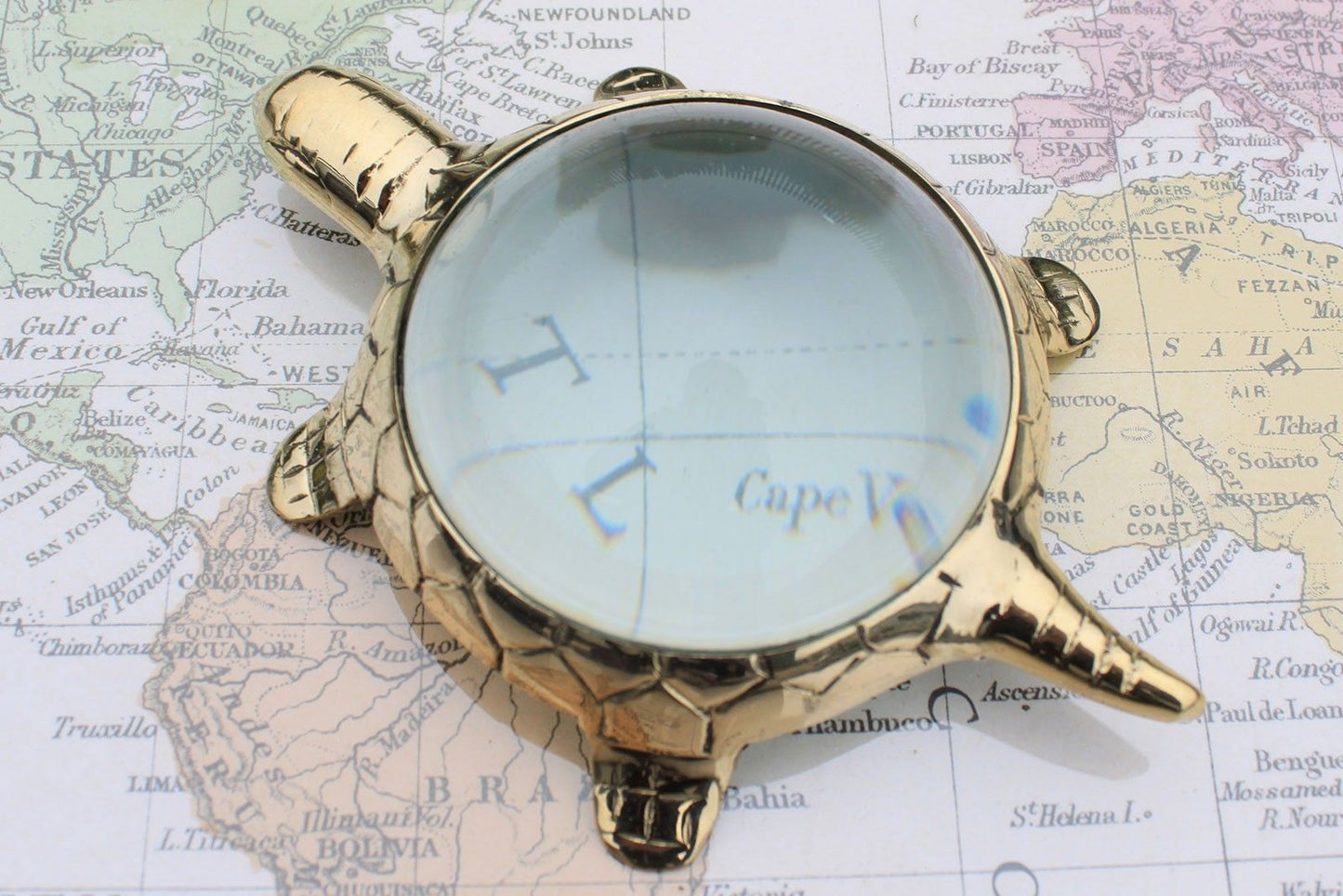 Vintage Magnifying Glasses - Table  Turtle