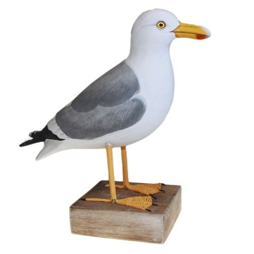 Great British Birds - Seagull