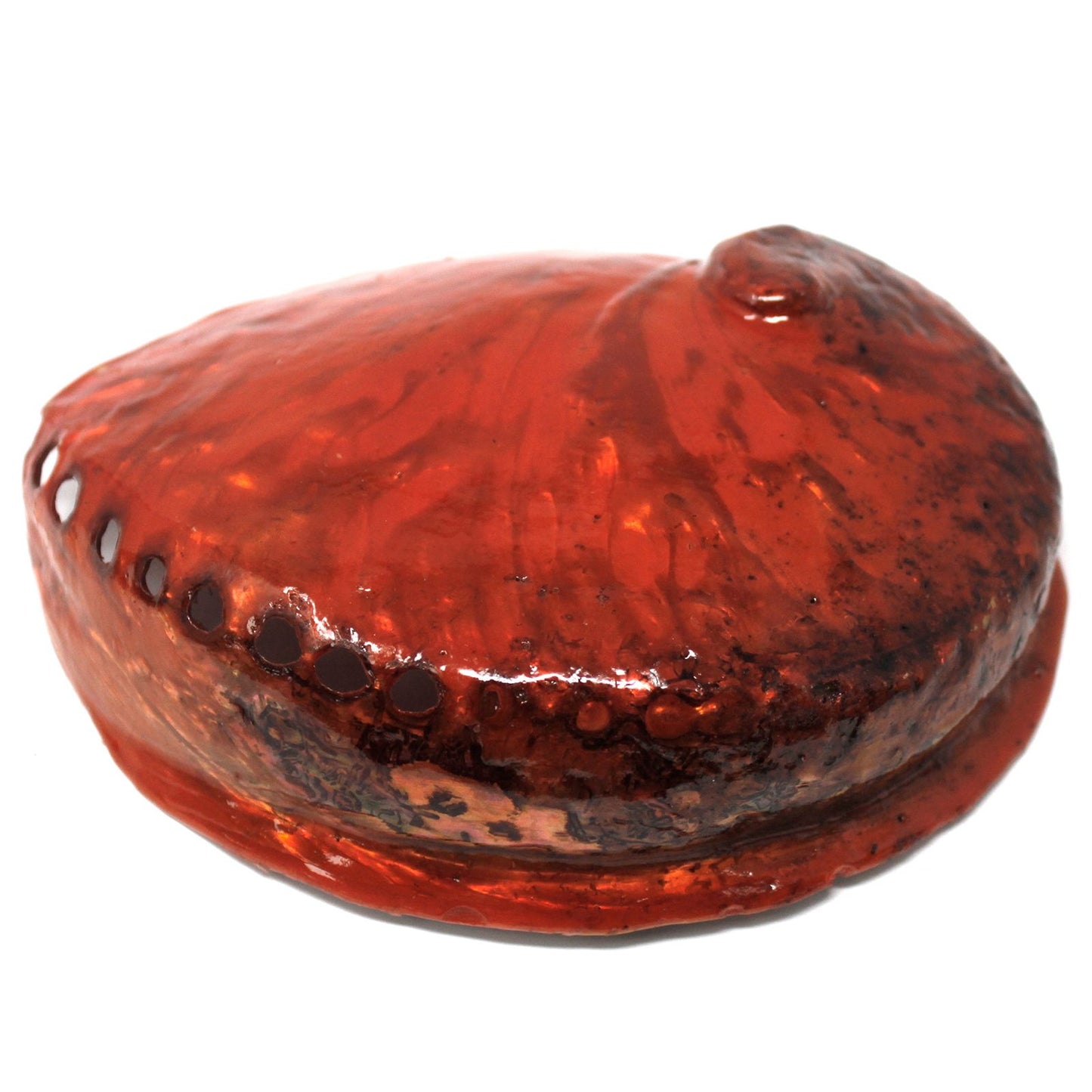 Natural Soap Dish