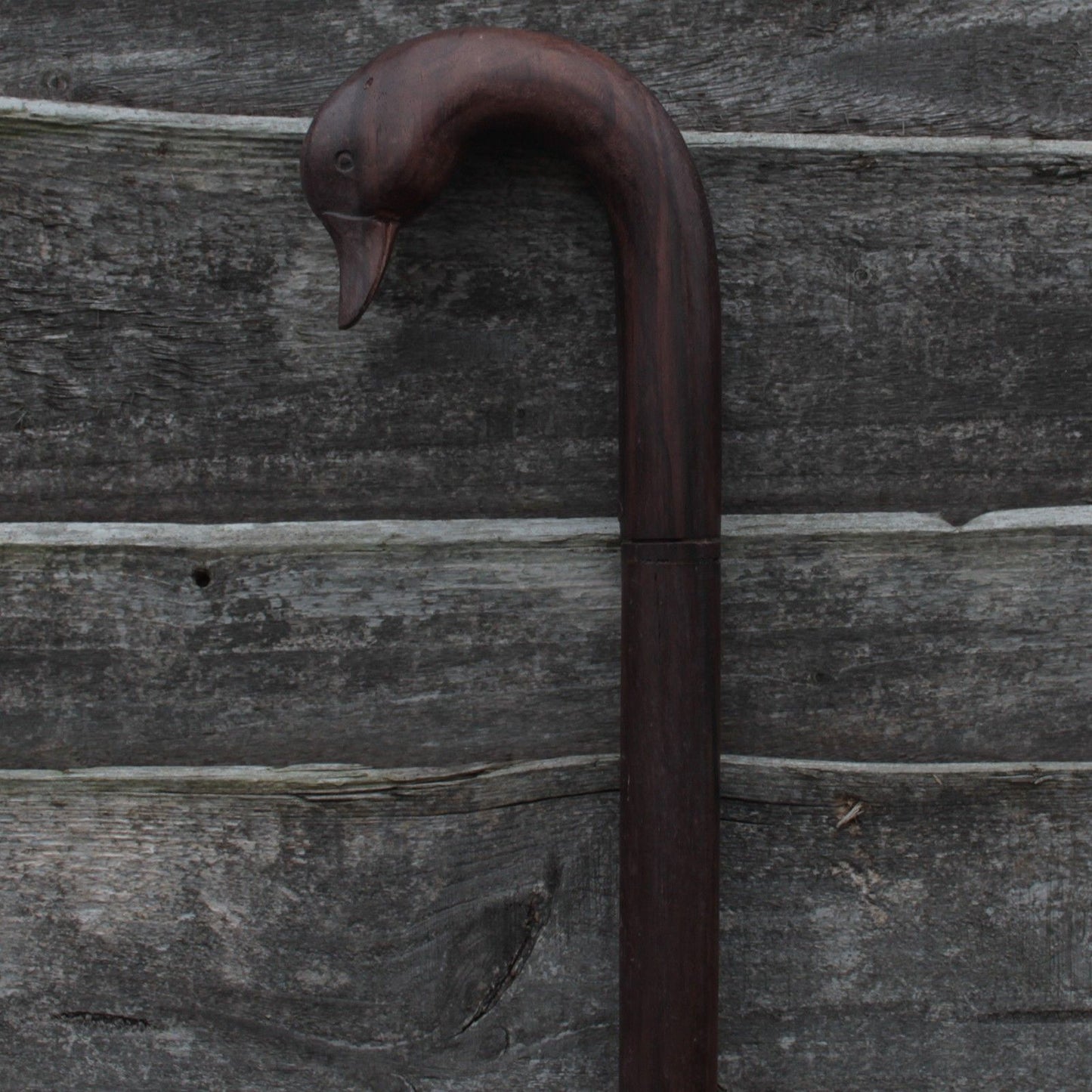 Walking Stick - Duck