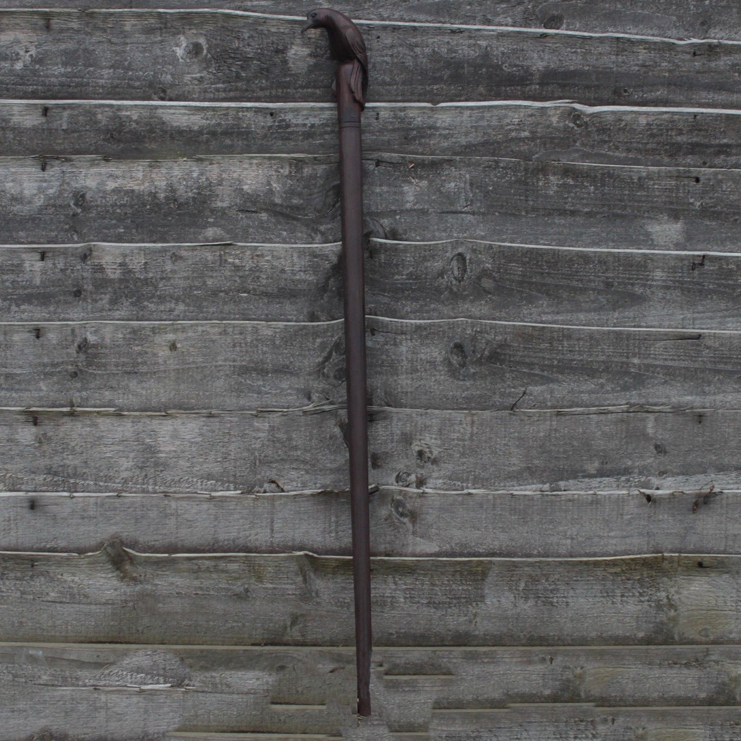Walking Stick - Bird