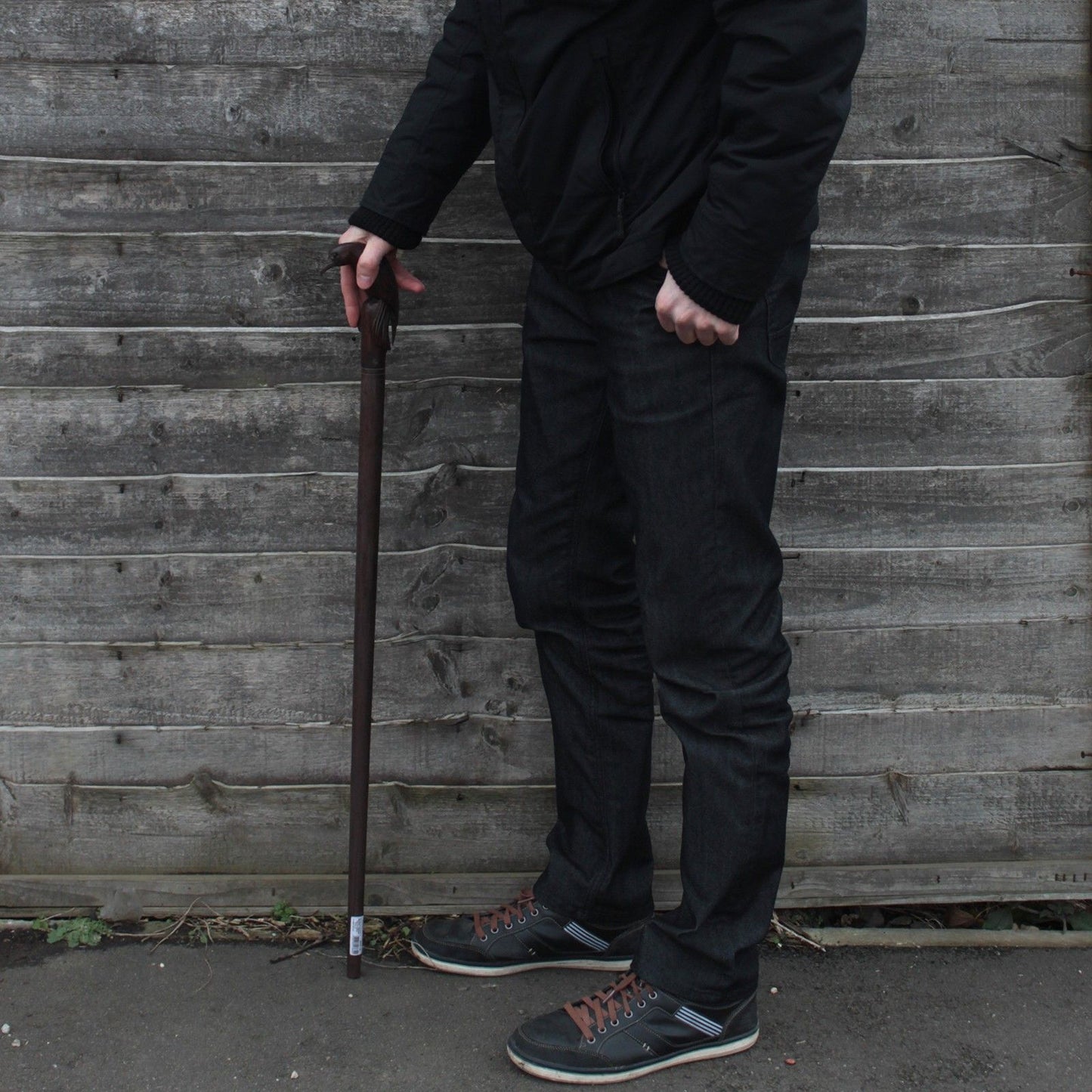 Walking Stick - Bird