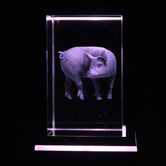Laser Crystal Block - Pig