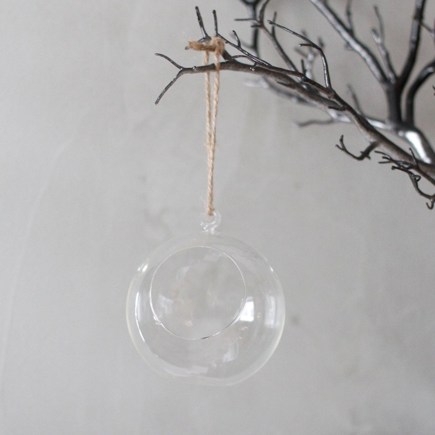 All Glass Terrarium - Globe Hanging Bowl