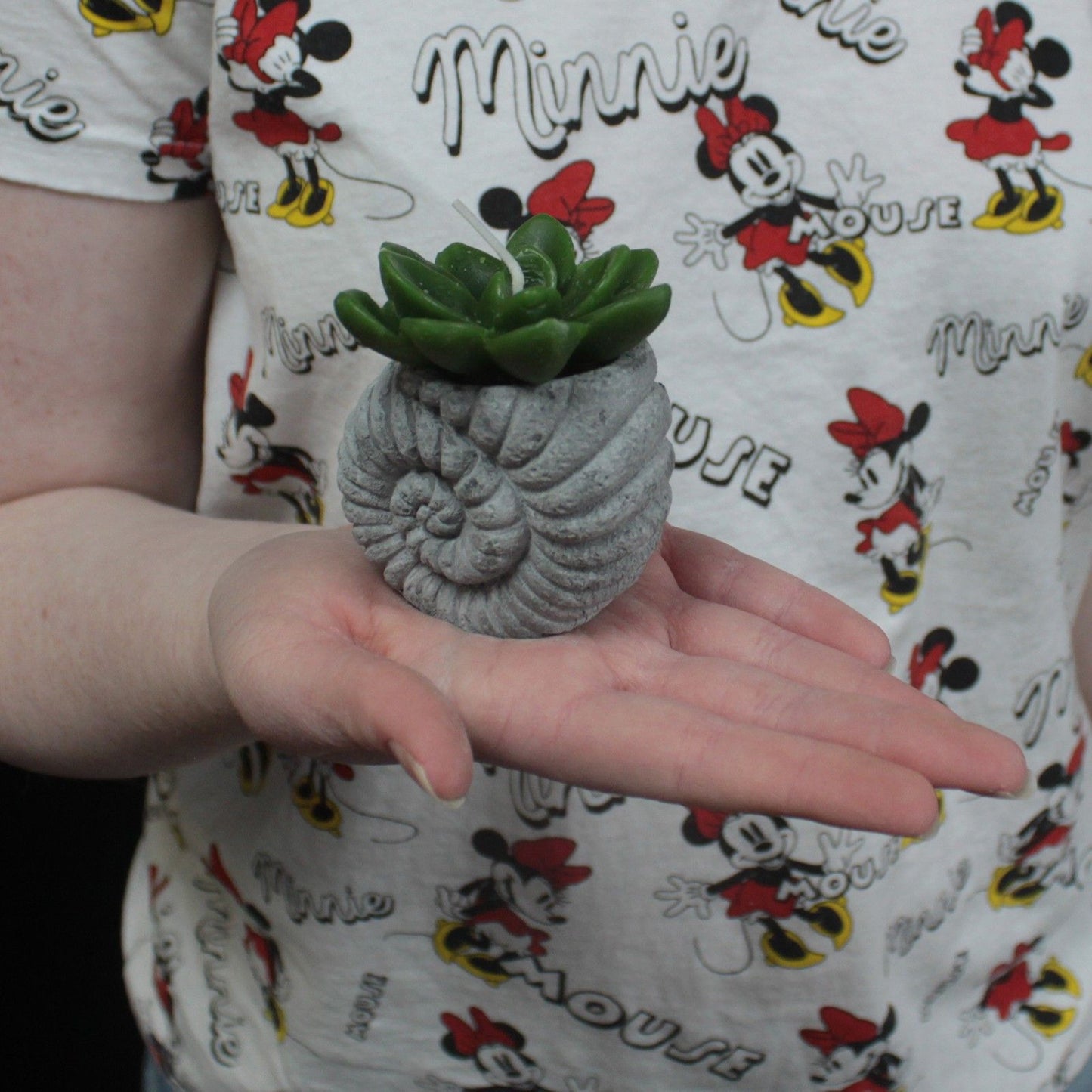 Cactus Candles - Shell Pot (asst) Display