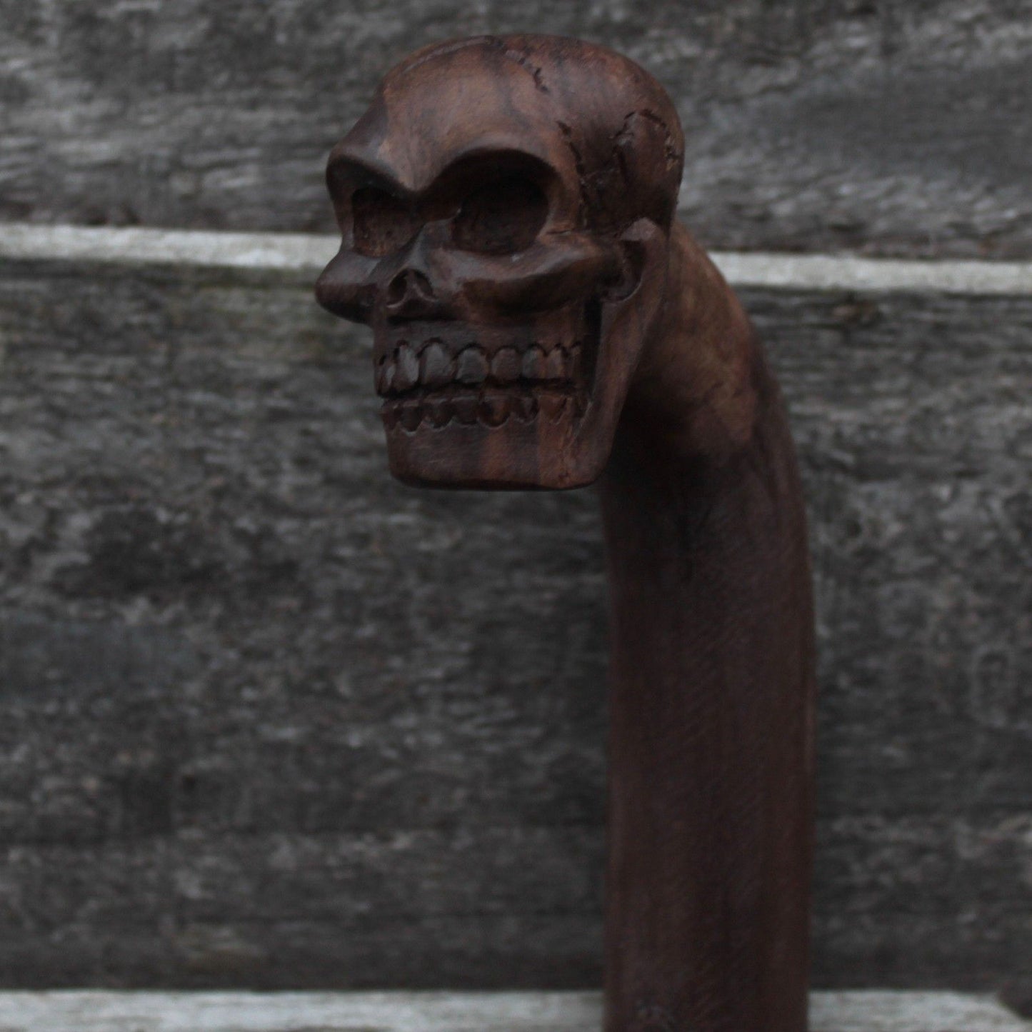 Walking Stick - Skull