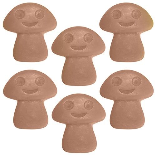 Natural Soy Wax Melts -Old Ginger