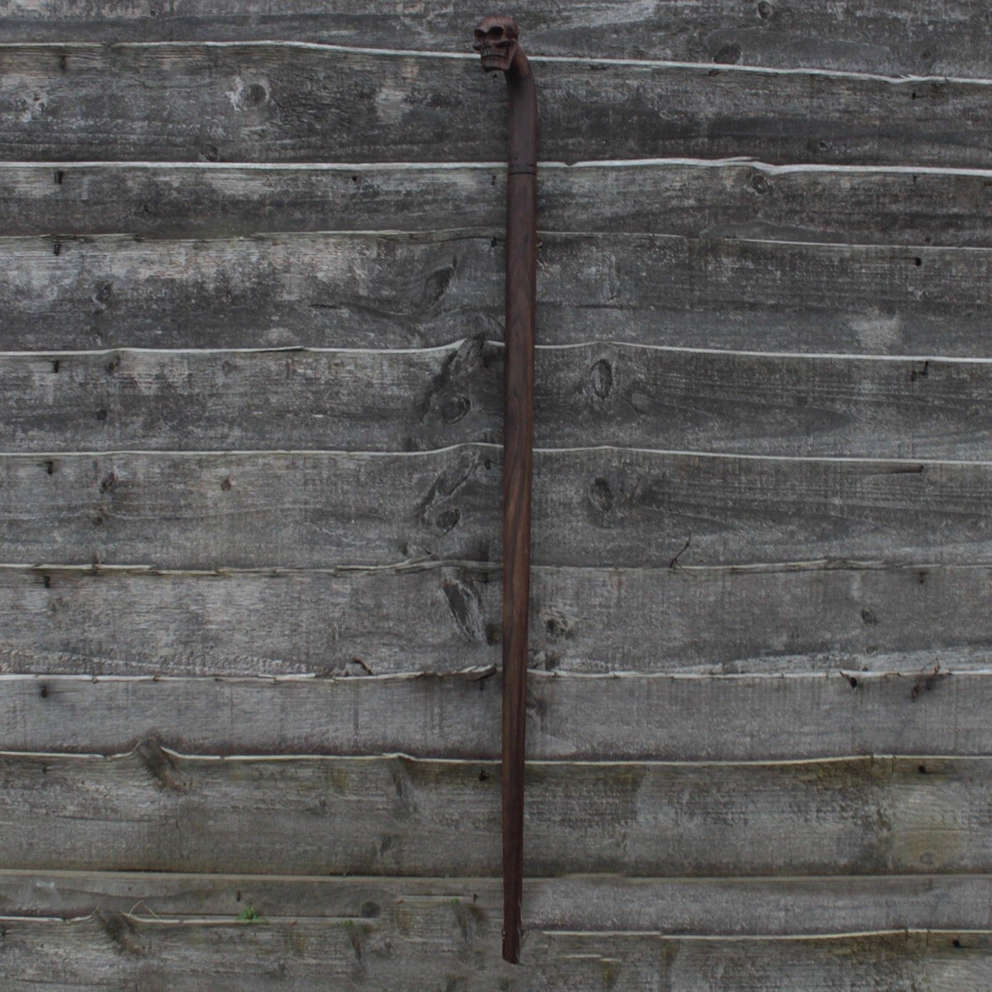 Walking Stick - Skull