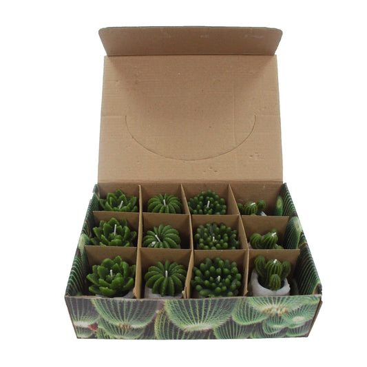 Cactus Candles - Owl Pot (asst) Display