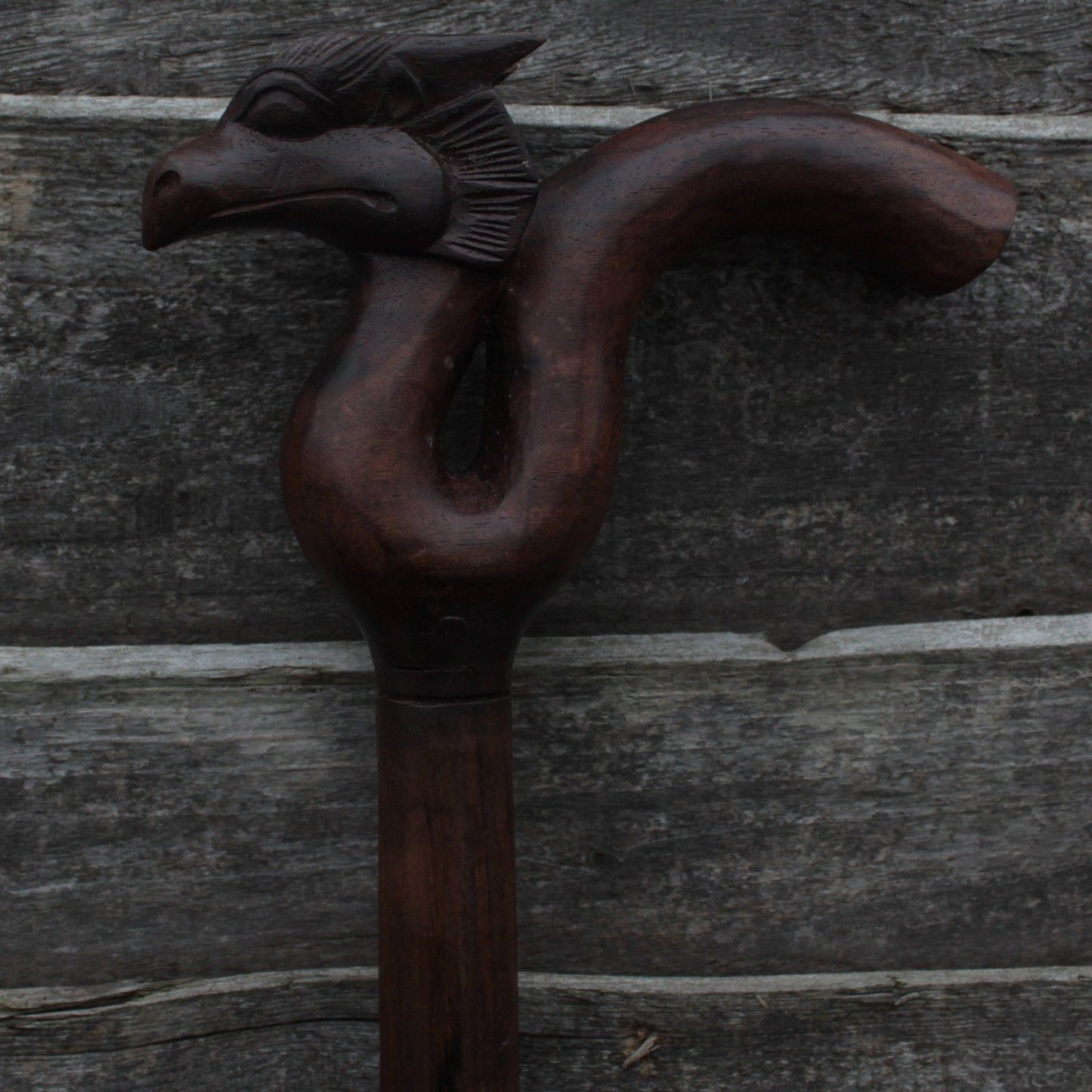 Walking Stick - Dragon Handle