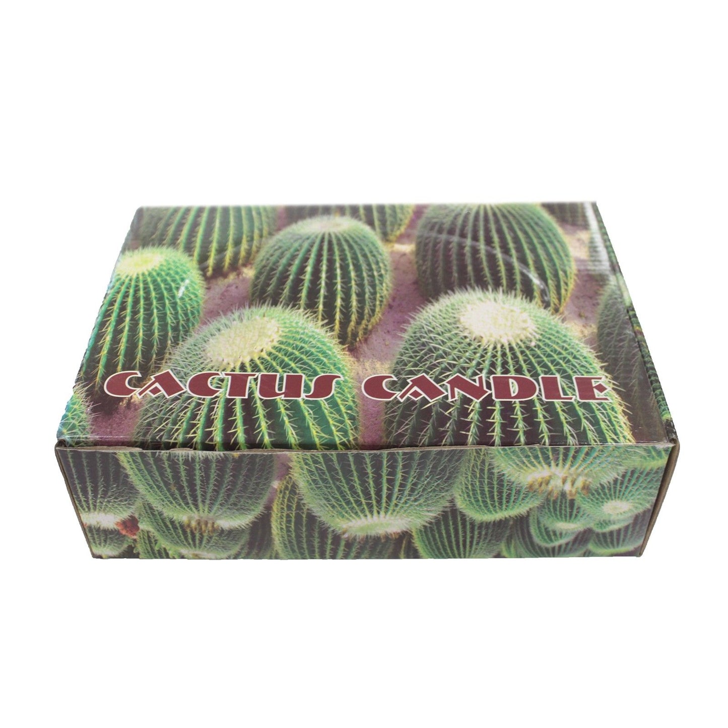 Cactus Candles - Owl Pot (asst) Display