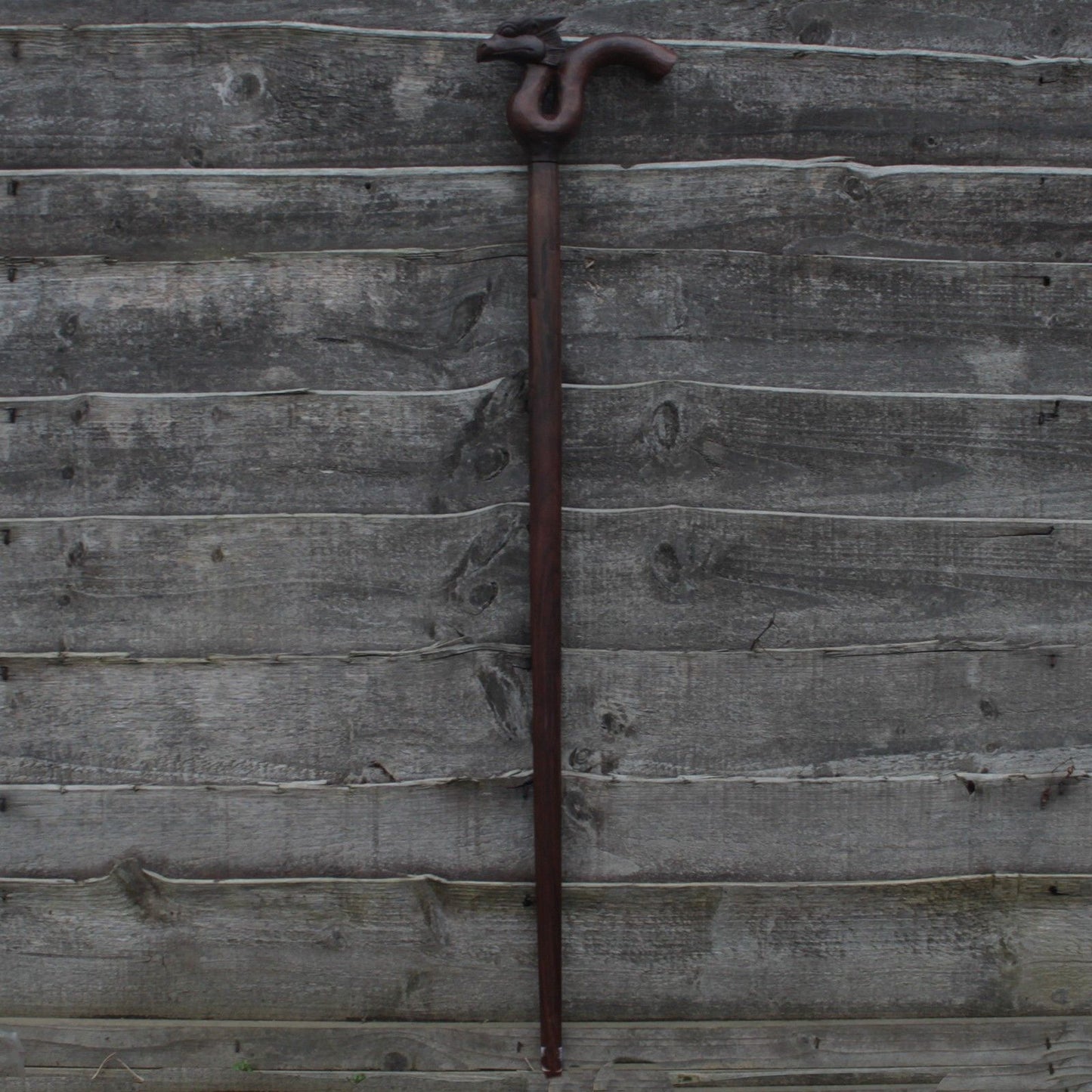 Walking Stick - Dragon Handle