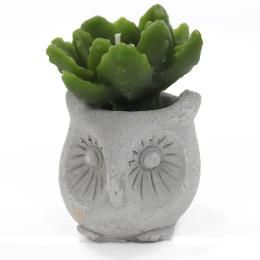 Cactus Candles - Owl Pot (asst) Display