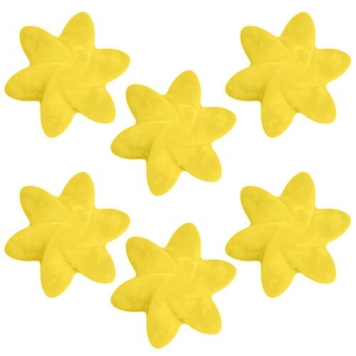 Natural Soy Wax Melts -Japanese Magnolia