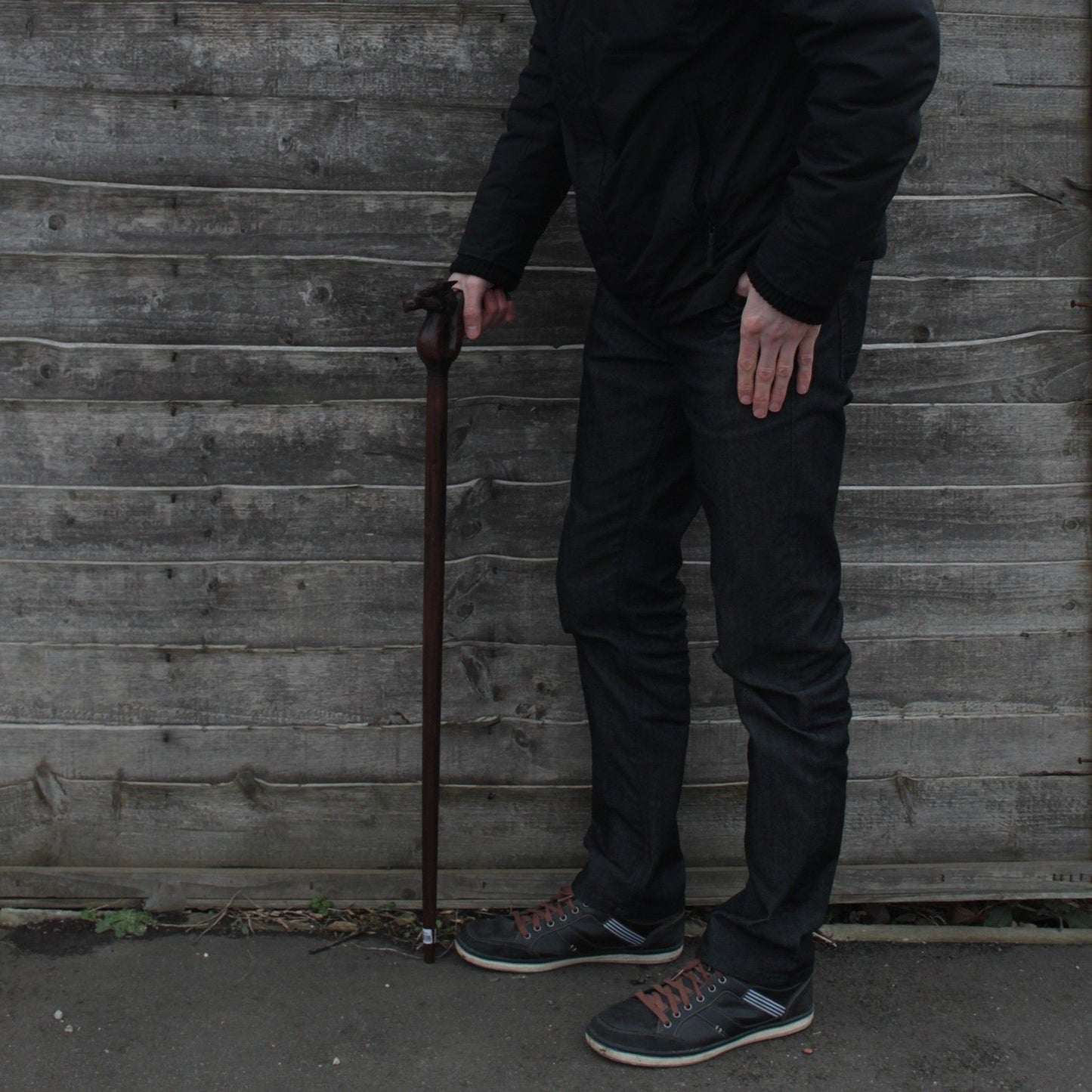 Walking Stick - Dragon Handle