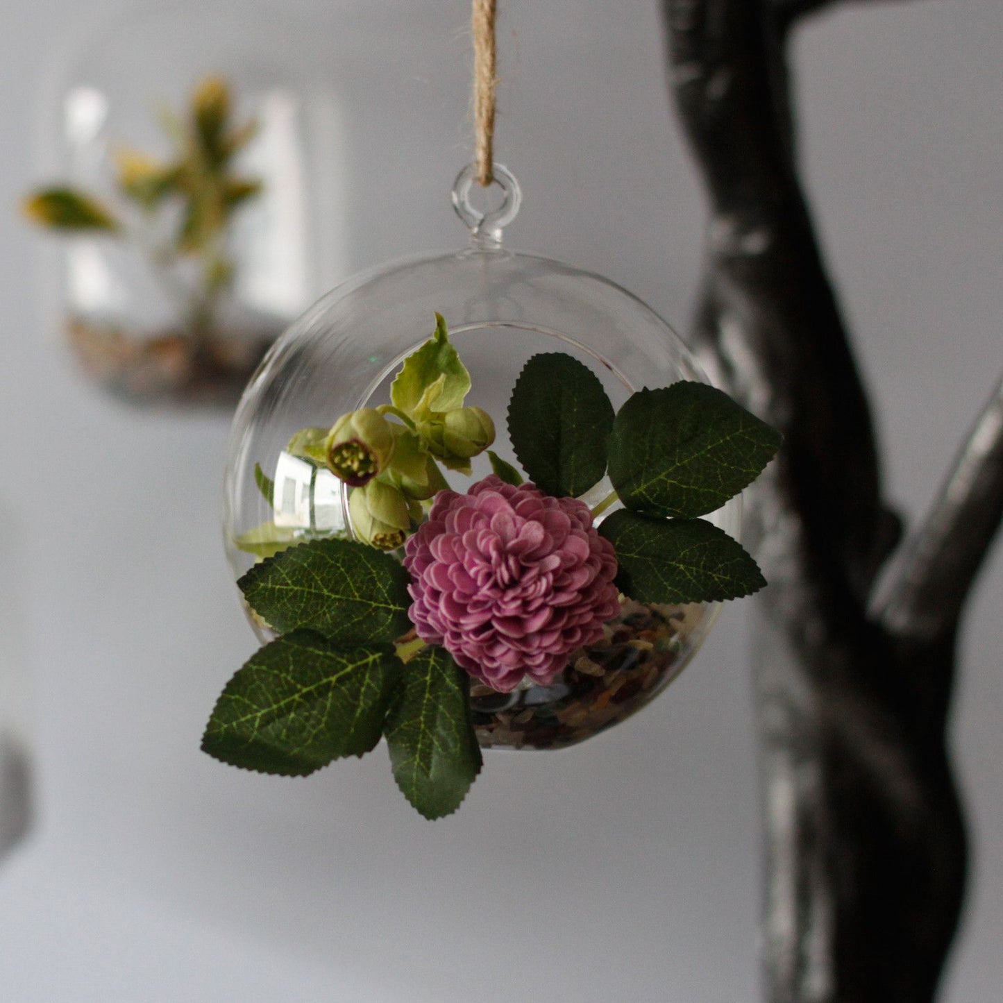 All Glass Terrarium - Globe Hanging Bowl