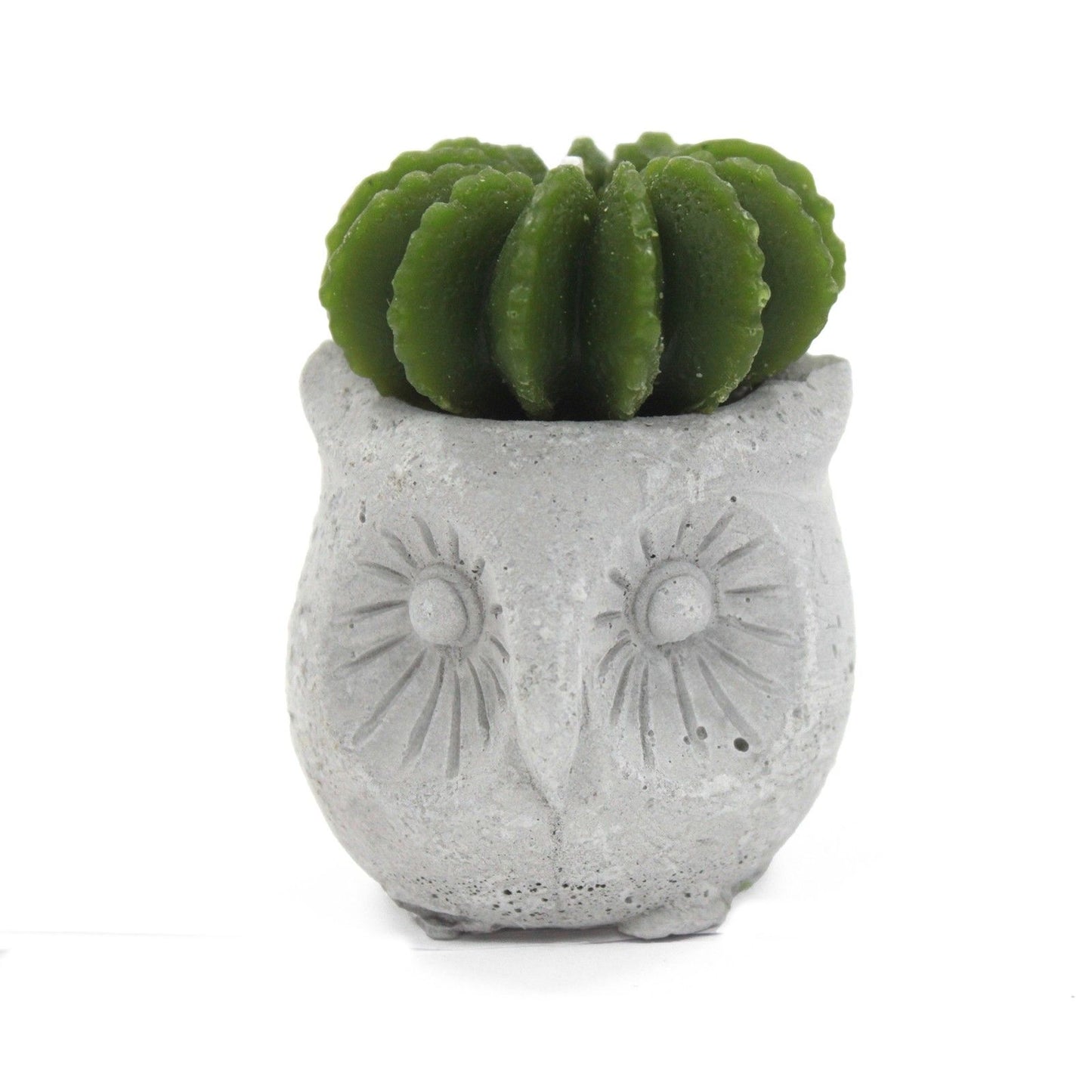 Cactus Candles - Owl Pot (asst) Display