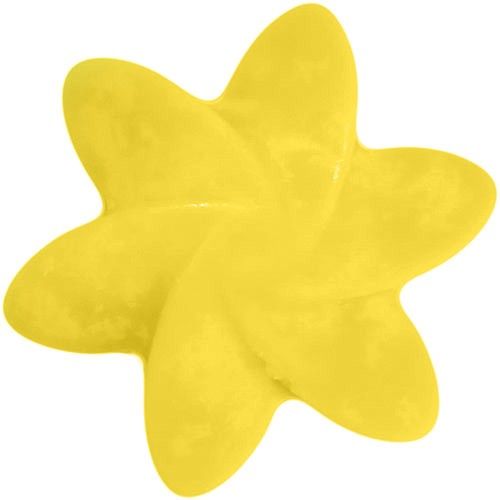 Natural Soy Wax Melts -Japanese Magnolia