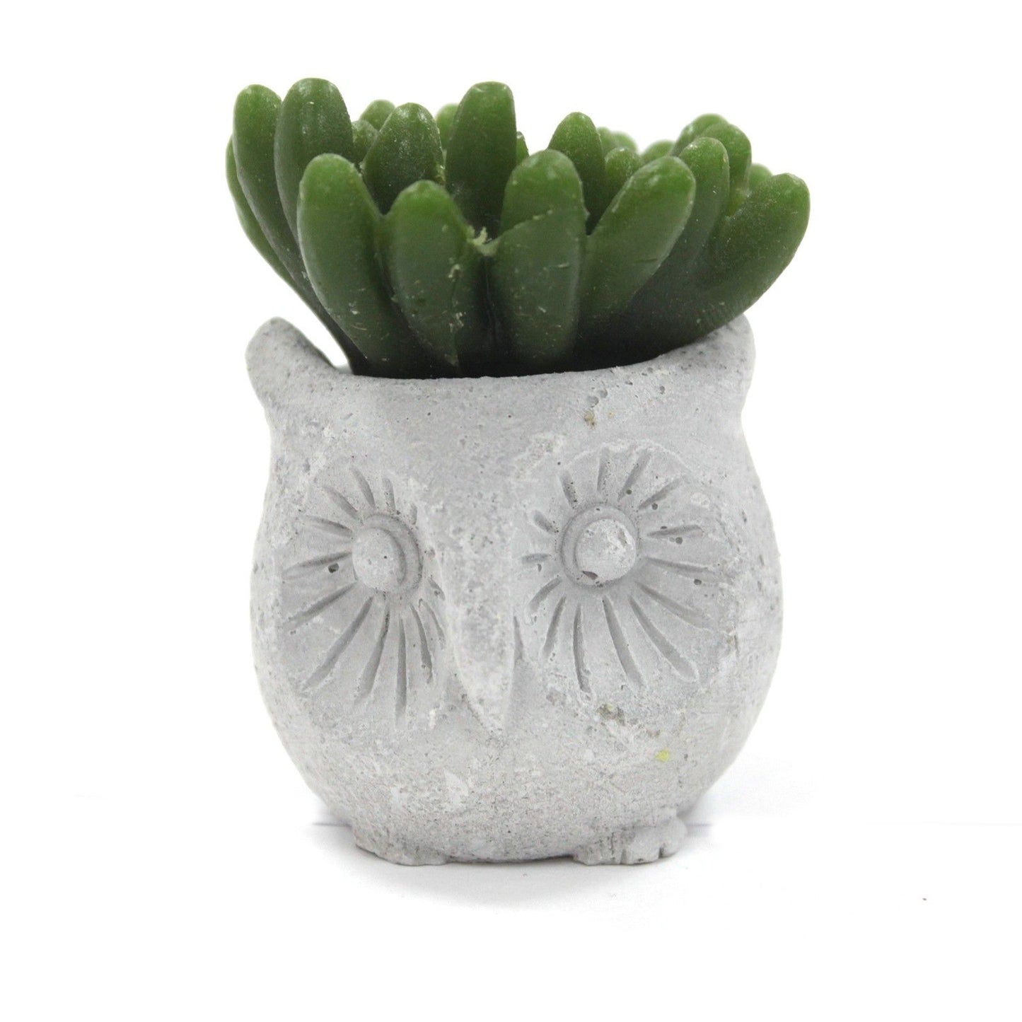 Cactus Candles - Owl Pot (asst) Display