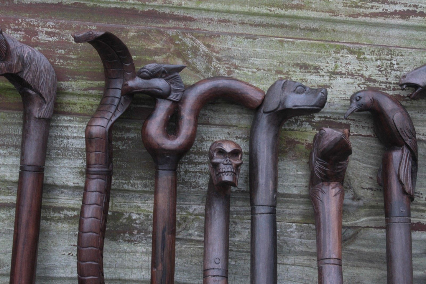Walking Stick - Frog