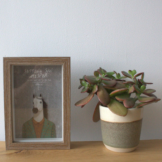 Deep Box Frame - Brown Brush - holds 10x15cm
