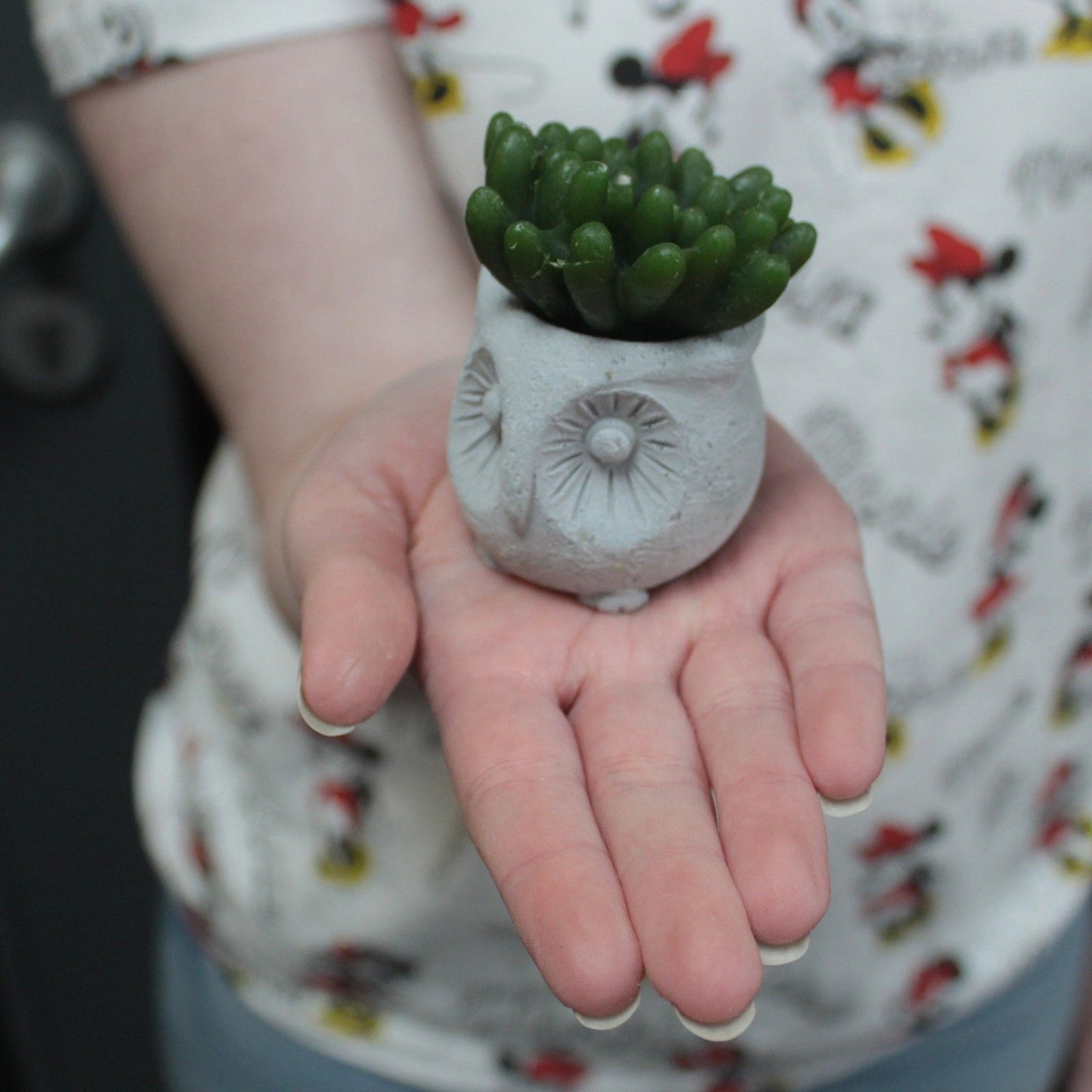 Cactus Candles - Owl Pot (asst) Display