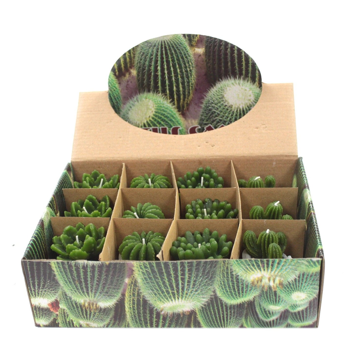 Cactus Candles - Owl Pot (asst) Display