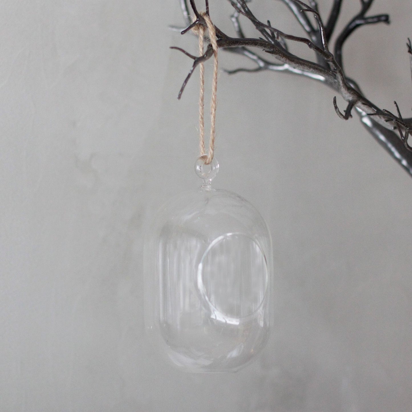 All Glass Terrarium - Oval Hanging Bowl