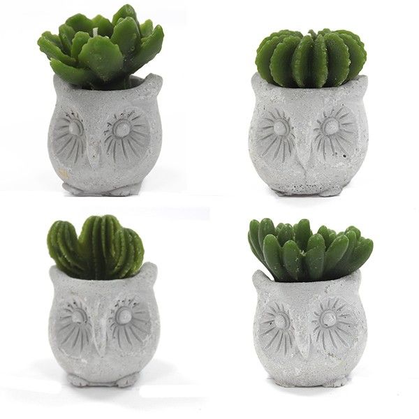 Cactus Candles - Owl Pot (asst) Display