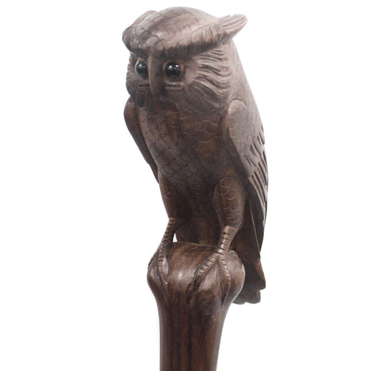 Ceremonial Staff - Owl