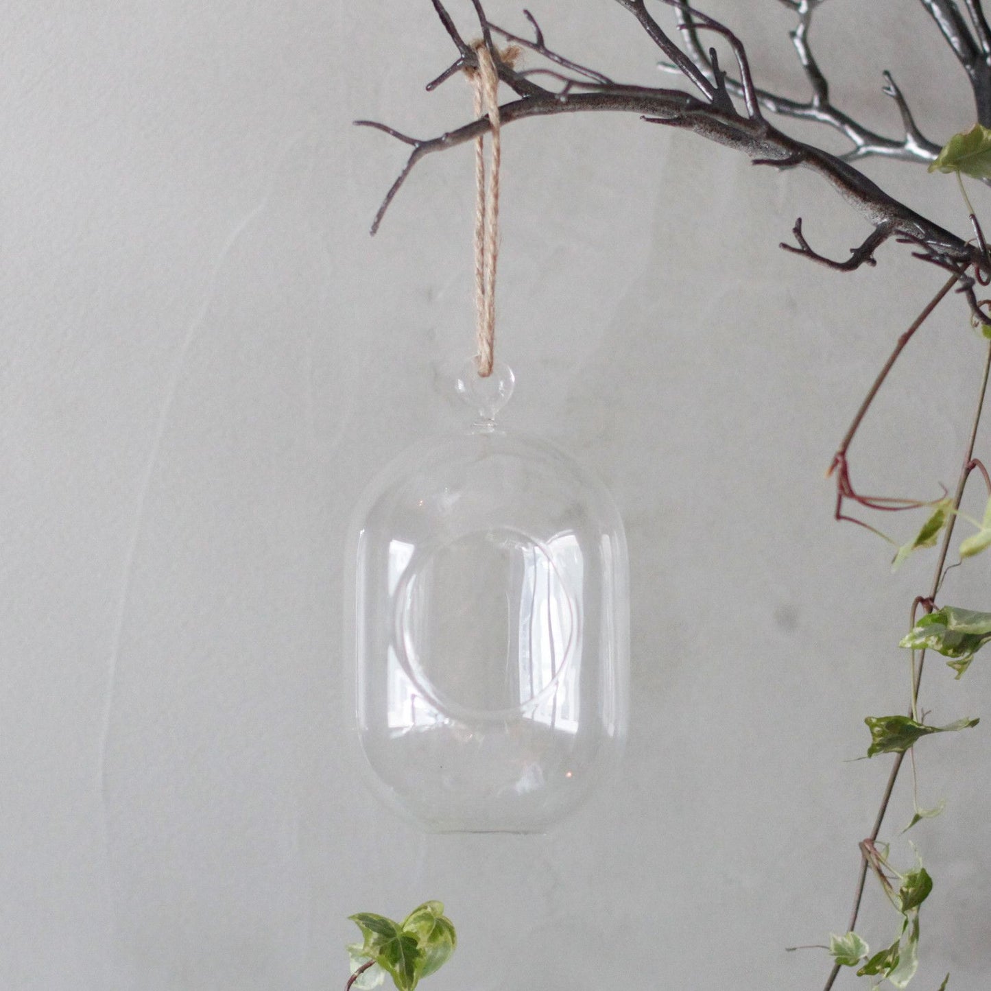 All Glass Terrarium - Oval Hanging Bowl