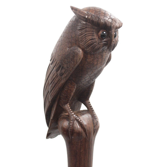 Ceremonial Staff - Owl