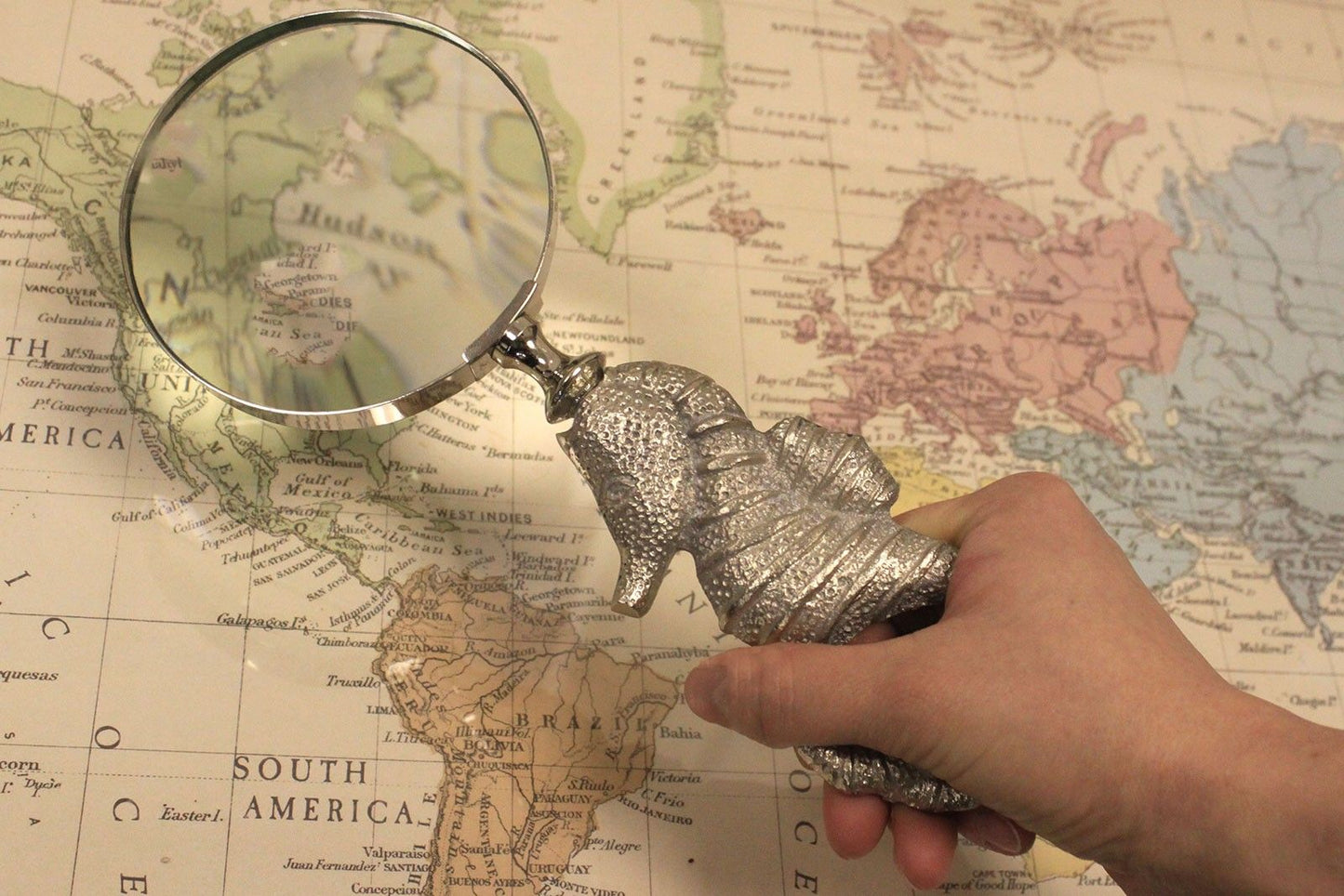 Vintage Magnifying Glasses - Seahorse