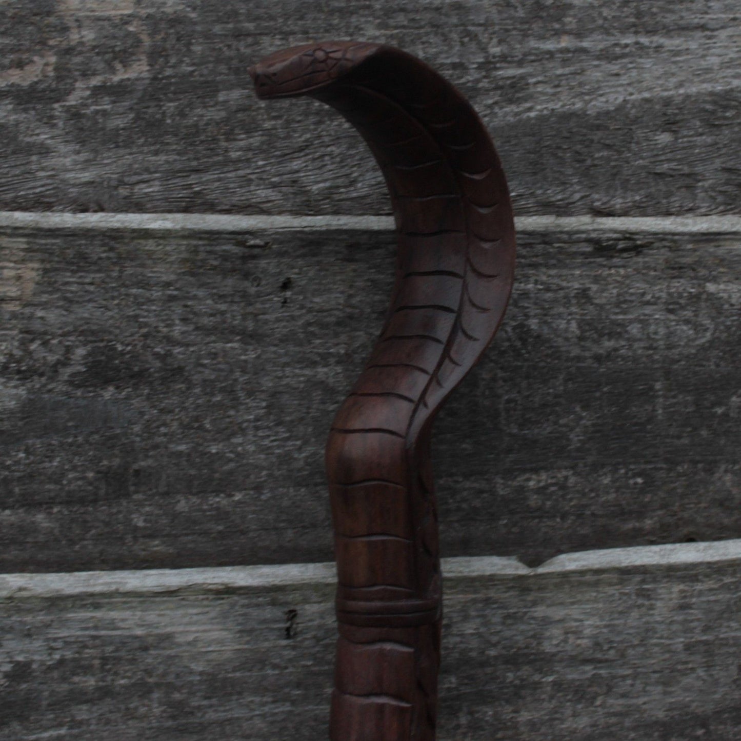 Walking Stick - Snake With Carved Body