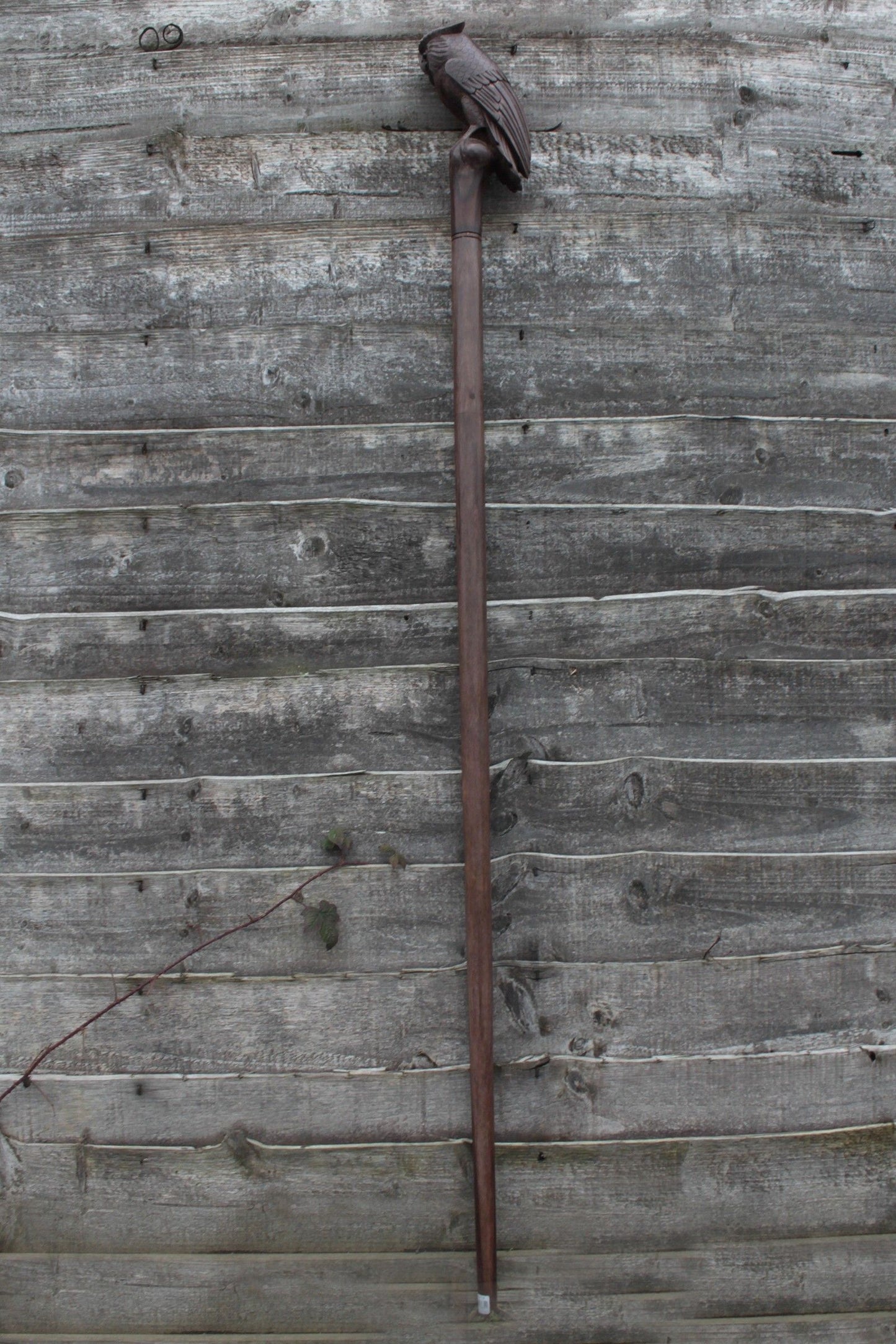 Ceremonial Staff - Owl