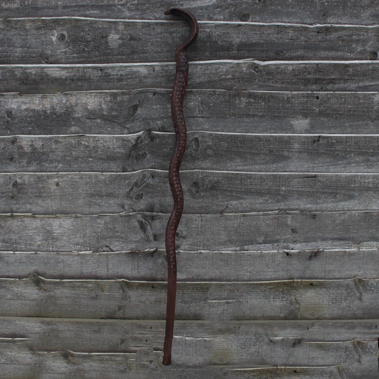 Walking Stick - Snake With Carved Body